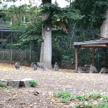 Ferienhaus Am Park Am Roehrensee Bayreuth Eksteriør billede