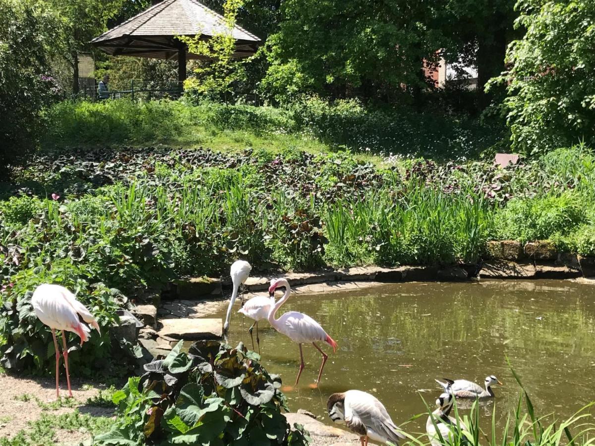Ferienhaus Am Park Am Roehrensee Bayreuth Eksteriør billede