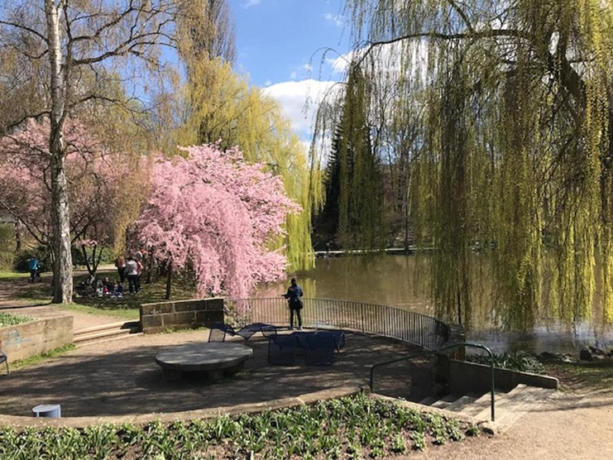 Ferienhaus Am Park Am Roehrensee Bayreuth Eksteriør billede