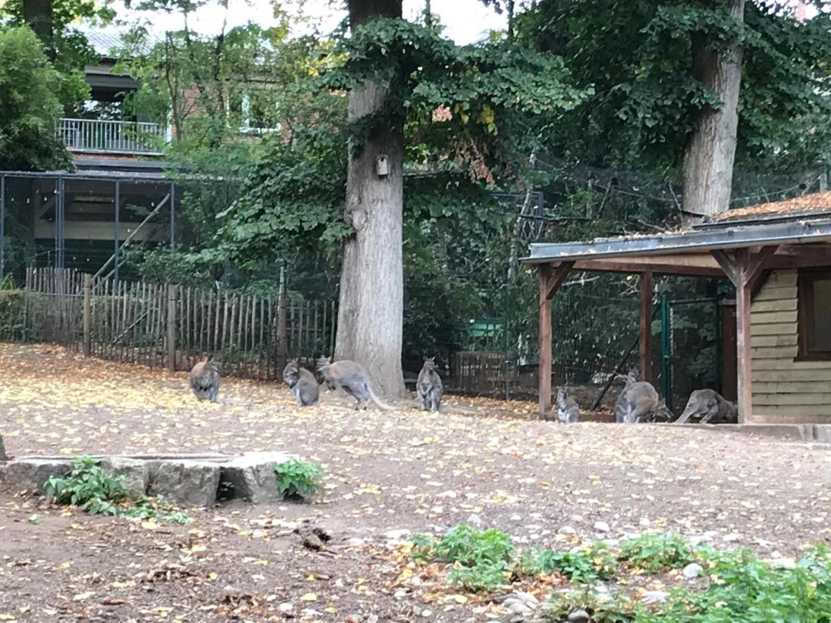 Ferienhaus Am Park Am Roehrensee Bayreuth Eksteriør billede